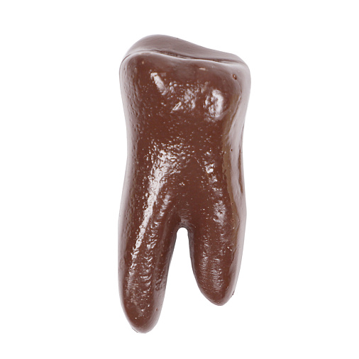 "Зуб" скульптура молочный шоколад