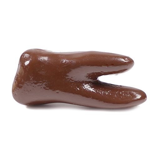 "Зуб" скульптура молочный шоколад