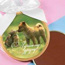 "Лучшему другу" медаль молочный шоколад